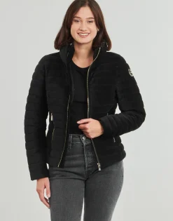 Les Petites Bombes - GEORGINE