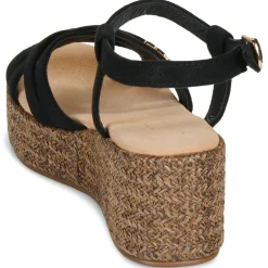 Les Petites Bombes - LARIA