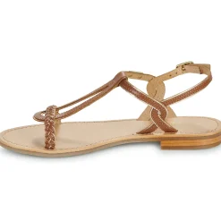 Les Tropéziennes par M Belarbi - HAPPY