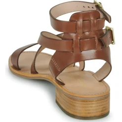 Les Tropéziennes par M Belarbi - HOCEAN