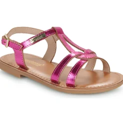 Les Tropéziennes par M Belarbi - BACKLE