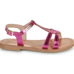 Les Tropéziennes par M Belarbi - BACKLE