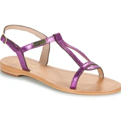 Les Tropéziennes par M Belarbi - HAMAT