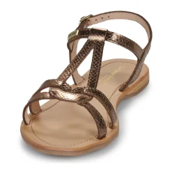 Les Tropéziennes par M Belarbi - HACKLIO