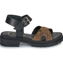 Les Tropéziennes par M Belarbi - TIHALEO