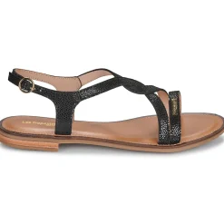 Les Tropéziennes par M Belarbi - HASTRAL