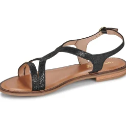 Les Tropéziennes par M Belarbi - HASTRAL