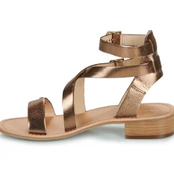 Les Tropéziennes par M Belarbi - HOCEAN