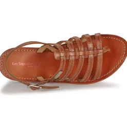 Les Tropéziennes par M Belarbi - HERISSON