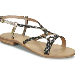 Les Tropéziennes par M Belarbi - HOMARIE