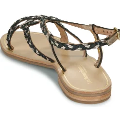 Les Tropéziennes par M Belarbi - HOMARIE