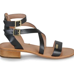 Les Tropéziennes par M Belarbi - HOCEAN