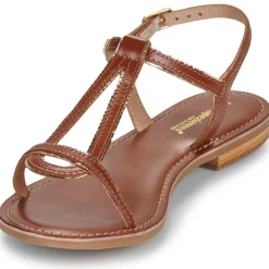 Les Tropéziennes par M Belarbi - HAMATRIO