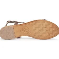 Les Tropéziennes par M Belarbi - HAMAT