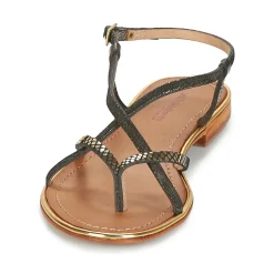 Les Tropéziennes par M Belarbi - MONACODE