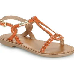 Les Tropéziennes par M Belarbi - BAPPY