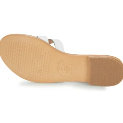 Les Tropéziennes par M Belarbi - DAMIA