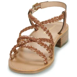 Les Tropéziennes par M Belarbi - HAPIRON