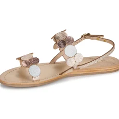 Les Tropéziennes par M Belarbi - HOLLYDOT