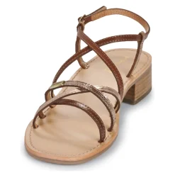 Les Tropéziennes par M Belarbi - HARRYNA