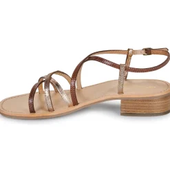 Les Tropéziennes par M Belarbi - HARRYNA