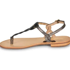 Les Tropéziennes par M Belarbi - HAMSONG