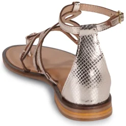 Les Tropéziennes par M Belarbi - HARABESQUE