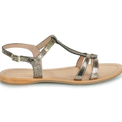 Les Tropéziennes par M Belarbi - HACKLIO