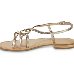 Les Tropéziennes par M Belarbi - HUDON