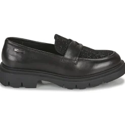 Les Tropéziennes par M Belarbi - ZABOY