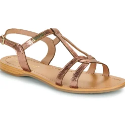 Les Tropéziennes par M Belarbi - HACKLIO