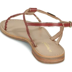 Les Tropéziennes par M Belarbi - HAPPY