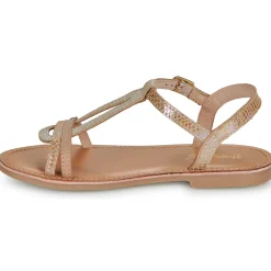 Les Tropéziennes par M Belarbi - BADA