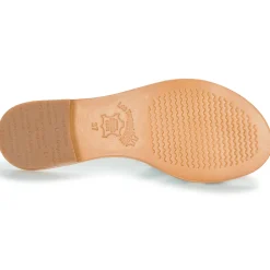 Les Tropéziennes par M Belarbi - DAMIA