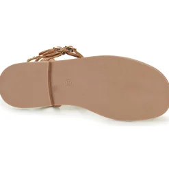 Les Tropéziennes par M Belarbi - CORALIE