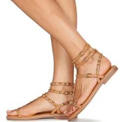 Les Tropéziennes par M Belarbi - CORALIE