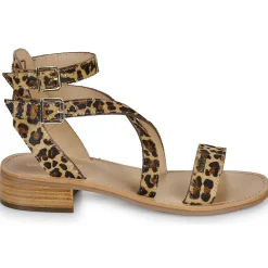 Les Tropéziennes par M Belarbi - HOCEANPO