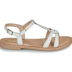 Les Tropéziennes par M Belarbi - BACKLE