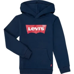 Levi's - BATWING SCREENPRINT HOODIE