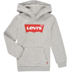 Levi's - BATWING SCREENPRINT HOODIE
