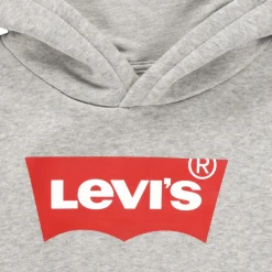 Levi's - BATWING SCREENPRINT HOODIE