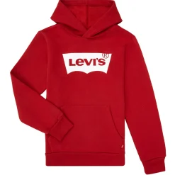 Levi's - BATWING SCREENPRINT HOODIE