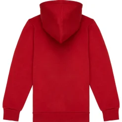 Levi's - BATWING SCREENPRINT HOODIE