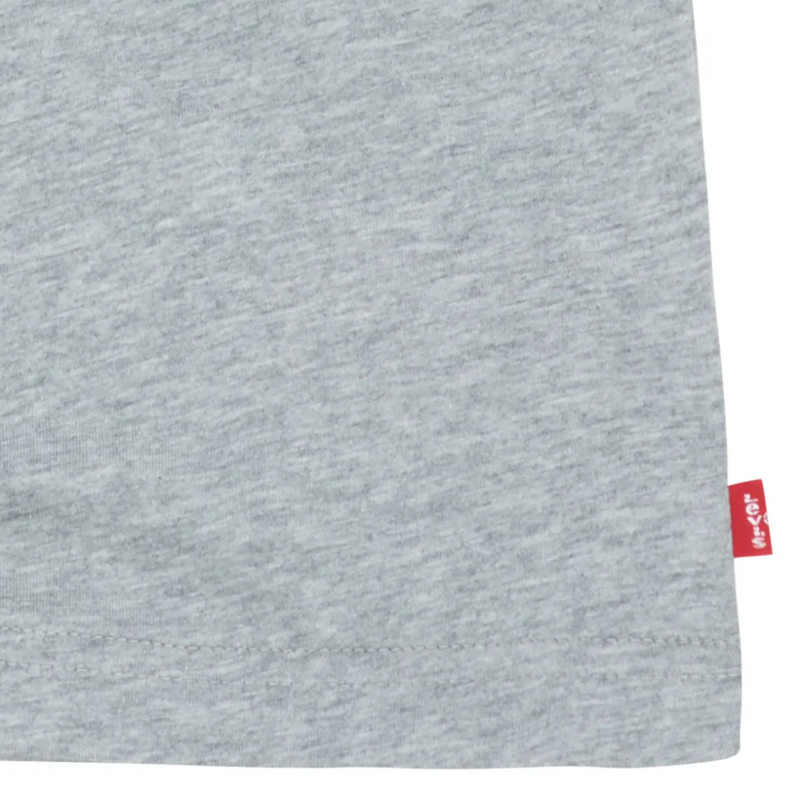 Levi's - BATWING TEE LS