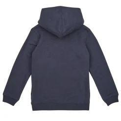 Levi's - LVB BATWING FILL HOODIE