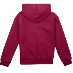 Levi's - LVG POSTER LOGO HOODIE