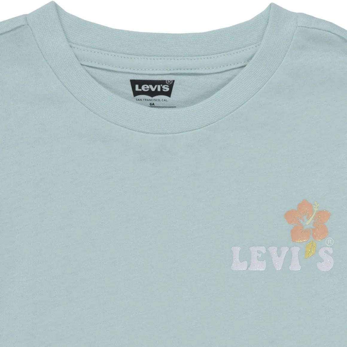 Levi's - OCEAN BEACH SS TEE
