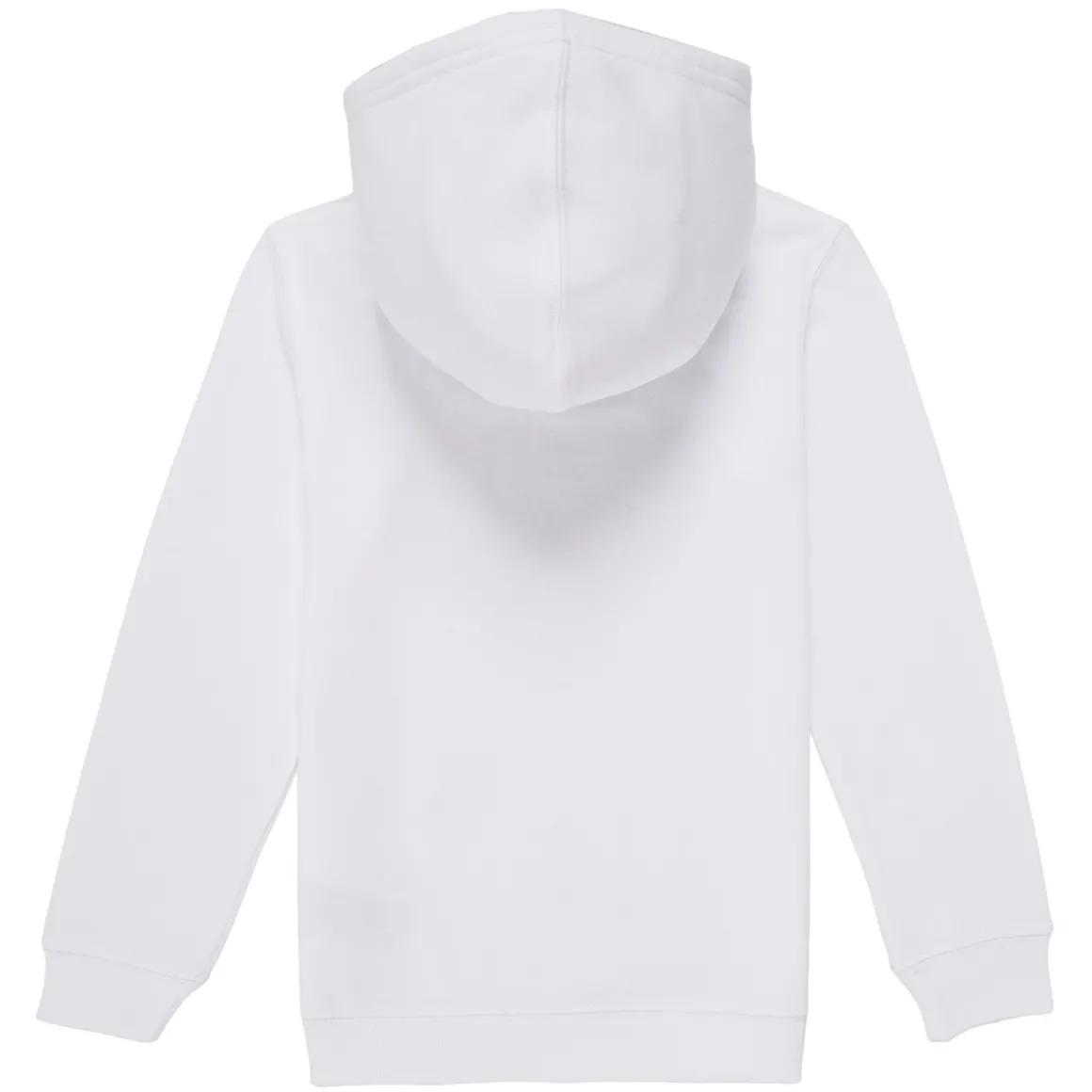 Levi's - PALM BATWING FILL HOODIE