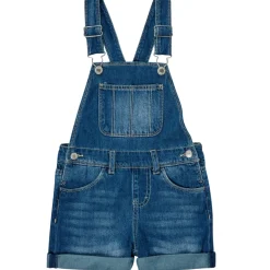 Levi's - RAILROAD STRIPE SHORTALL