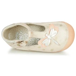 Little Mary - GLYCINE